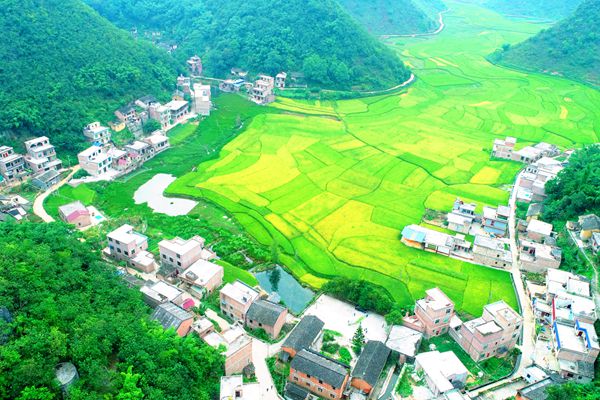 木煙_副本.jpg 木煙_副本.jpg