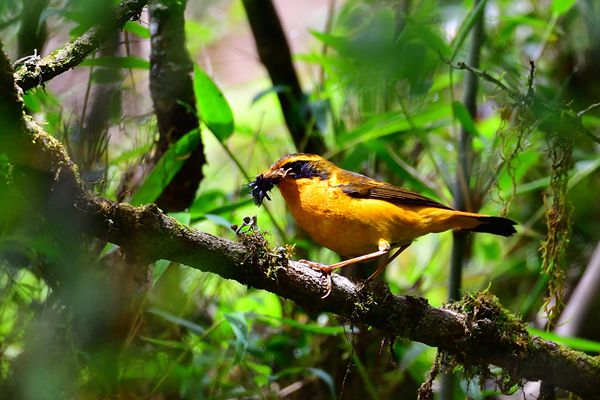 356_00001_副本.jpg 356_00001_副本.jpg