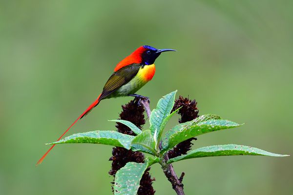 270_00001_副本.jpg 270_00001_副本.jpg