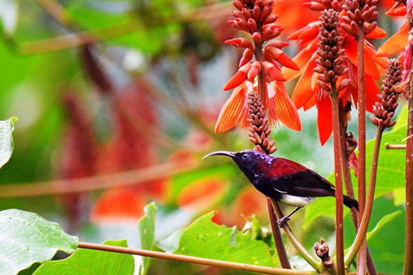 DSC_1657_副本.jpg DSC_1657_副本.jpg