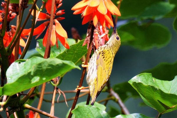 DSC_1842_副本.jpg DSC_1842_副本.jpg