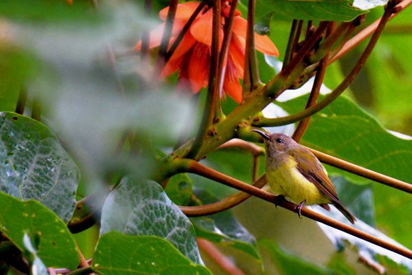 DSC_1718_副本.jpg DSC_1718_副本.jpg