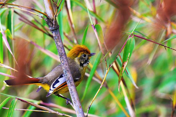 DSC_0635_副本.jpg DSC_0635_副本.jpg