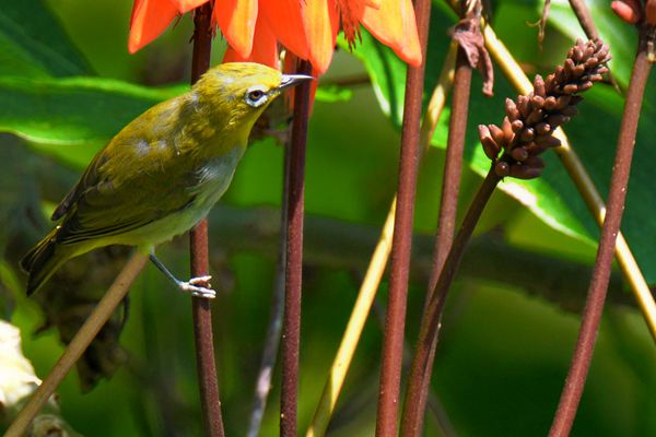 DSC_1964_副本.jpg DSC_1964_副本.jpg