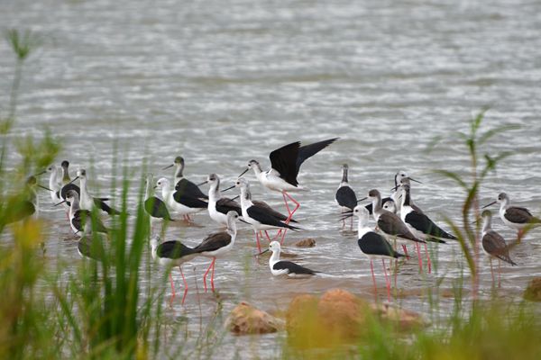 開遠_副本.jpg 開遠_副本.jpg