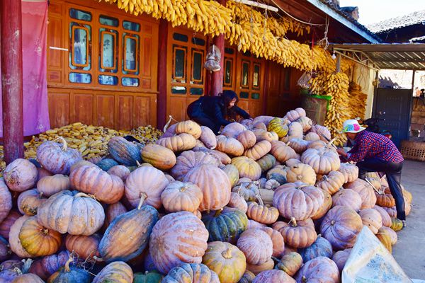 施甸_副本.jpg 施甸_副本.jpg