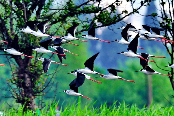 瀘西_副本.jpg 瀘西_副本.jpg