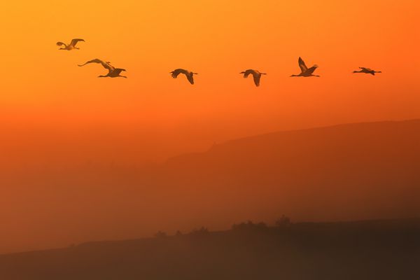 昭通_副本.jpg 昭通_副本.jpg