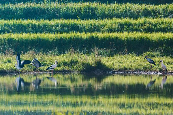 廣南_副本.jpg 廣南_副本.jpg