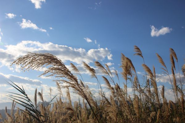 建水_副本.jpg 建水_副本.jpg