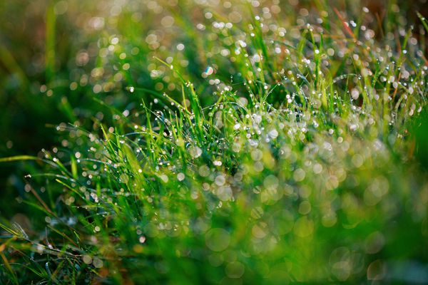 景谷_副本.jpg 景谷_副本.jpg