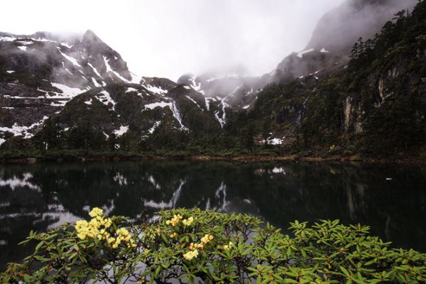 mmexport1530255016701_副本.jpg mmexport1530255016701_副本.jpg