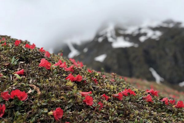 mmexport1529323471689_副本.jpg mmexport1529323471689_副本.jpg