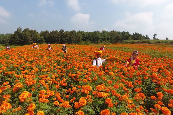 沾益_副本.jpg 沾益_副本.jpg