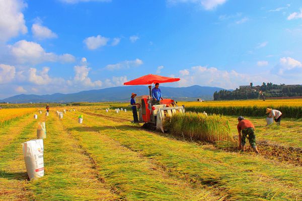 楚雄_副本.jpg 楚雄_副本.jpg