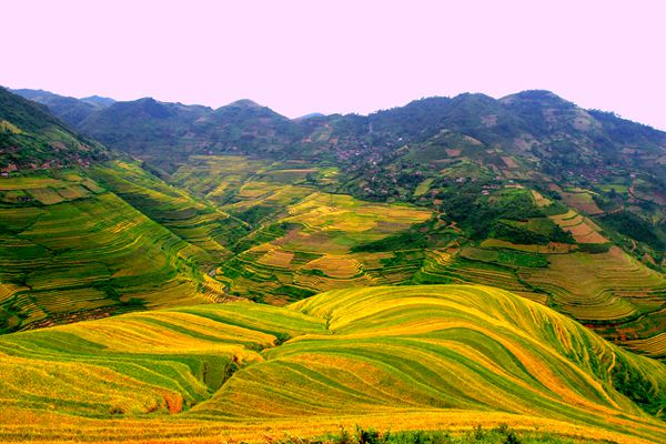 富寧_副本.jpg 富寧_副本.jpg