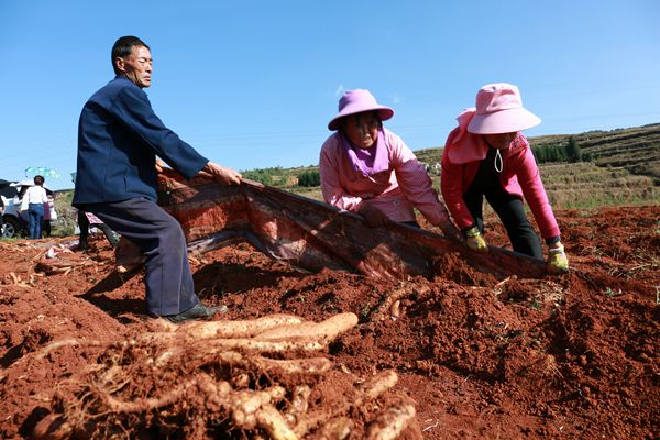 富源_副本.jpg 富源_副本.jpg