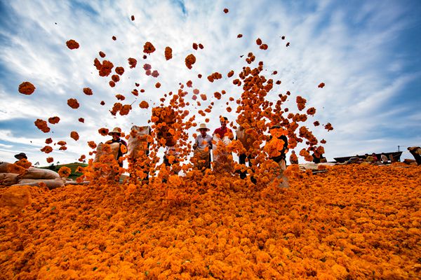 開遠(yuǎn)_副本.jpg 開遠(yuǎn)_副本.jpg