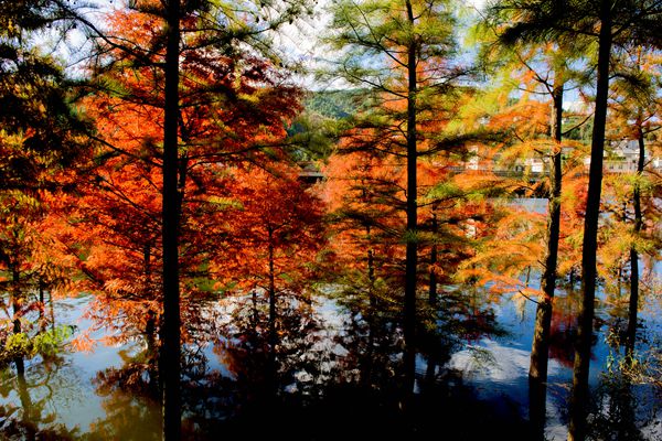 五華區(qū)_副本.jpg 五華區(qū)_副本.jpg