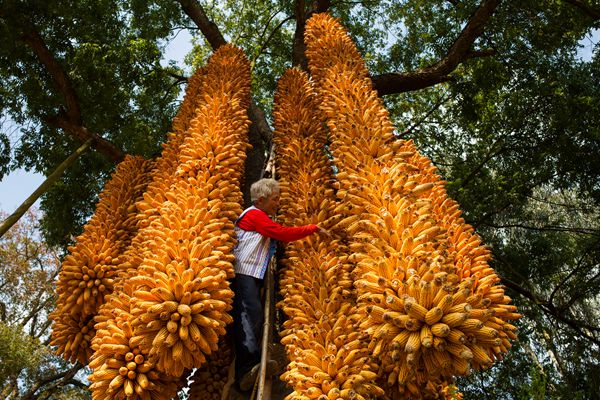 彌勒_副本.jpg 彌勒_副本.jpg