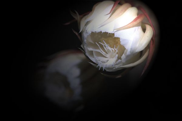 3_副本.jpg 3_副本.jpg