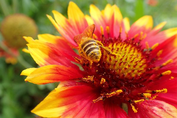 QQ圖片20180927143236_副本.jpg QQ圖片20180927143236_副本.jpg