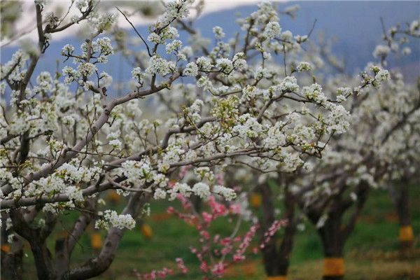 6_副本.jpg 6_副本.jpg