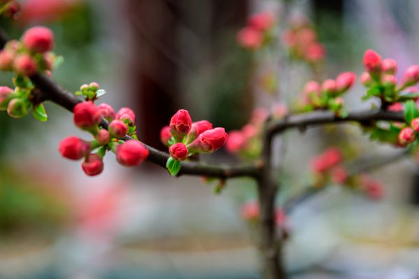 8_副本.jpg 8_副本.jpg