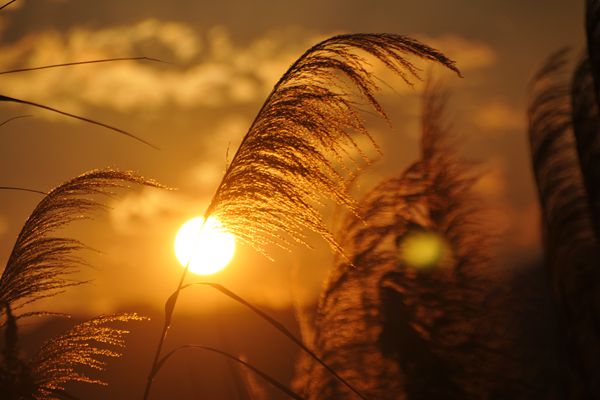 5_副本.jpg 5_副本.jpg