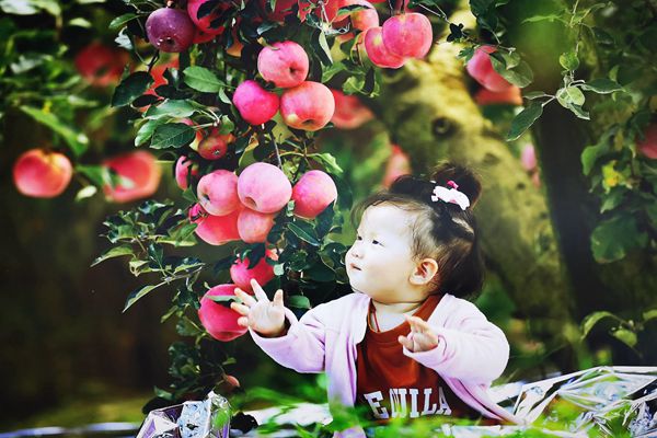 15_副本.jpg 15_副本.jpg