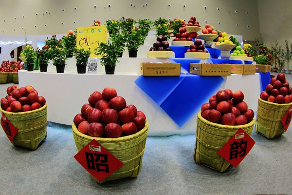 14_副本.jpg 14_副本.jpg