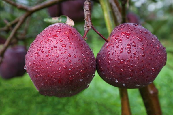 23_副本.jpg 23_副本.jpg