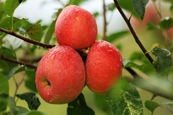 22_副本.jpg 22_副本.jpg