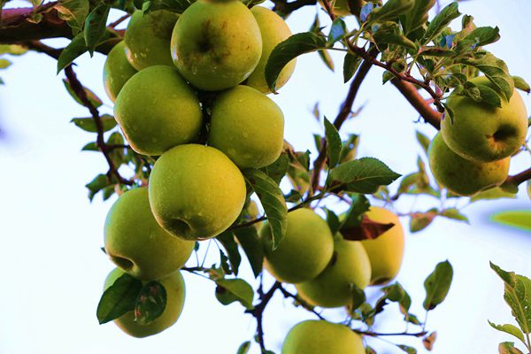 25_副本.jpg 25_副本.jpg