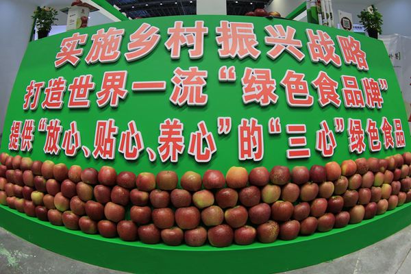 8_副本.jpg 8_副本.jpg