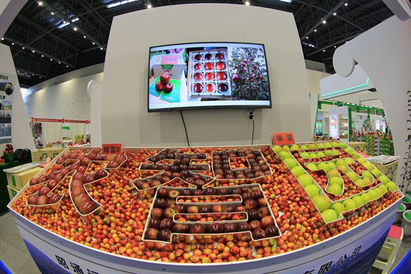 11_副本.jpg 11_副本.jpg