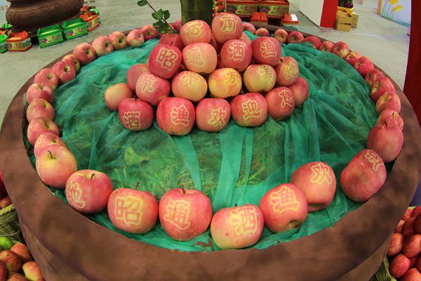 12_副本.jpg 12_副本.jpg