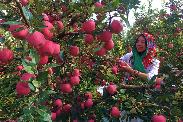 18_副本.jpg 18_副本.jpg