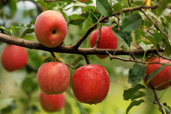 24_副本.jpg 24_副本.jpg