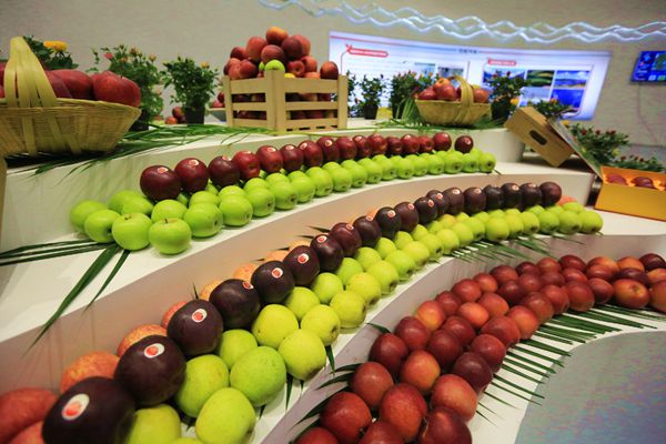 13_副本.jpg 13_副本.jpg