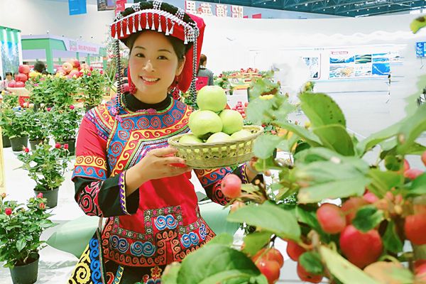 16_副本.jpg 16_副本.jpg