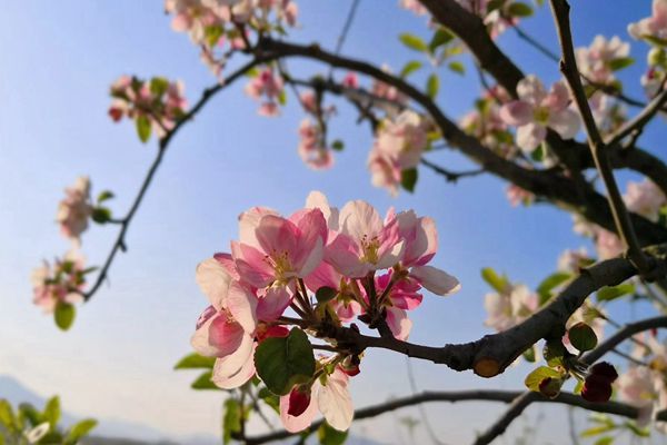 21_副本.jpg 21_副本.jpg