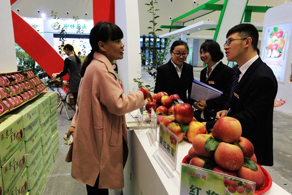 3_副本.jpg 3_副本.jpg