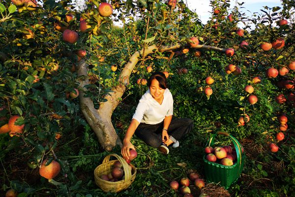 17_副本.jpg 17_副本.jpg