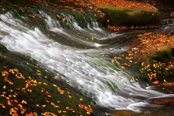 寒露無痕  秋夢入溪_副本.jpg