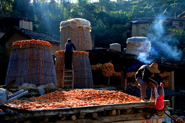 秋高氣爽晾曬忙  展望豐收好年景_副本.jpg