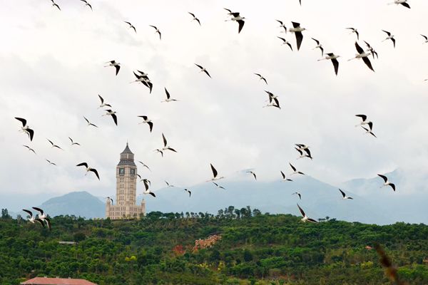 青山遠黛風云卷  南遷候鳥舞蹁躚_副本.jpg