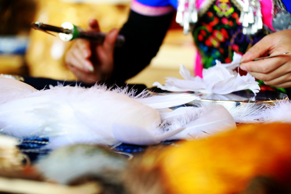 圖5_副本.jpg 圖5_副本.jpg