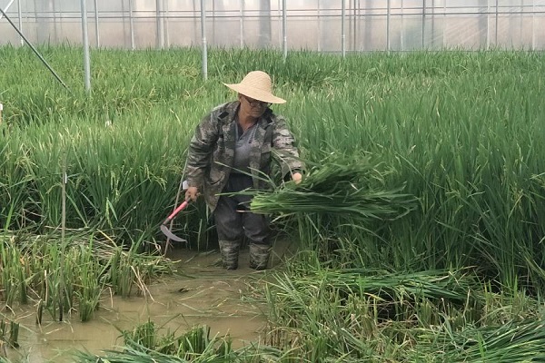 微信圖片_20181009174840.jpg 微信圖片_20181009174840.jpg