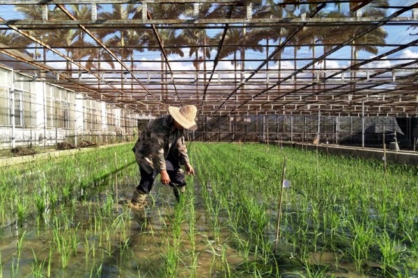 微信圖片_20181009175606.jpg 微信圖片_20181009175606.jpg